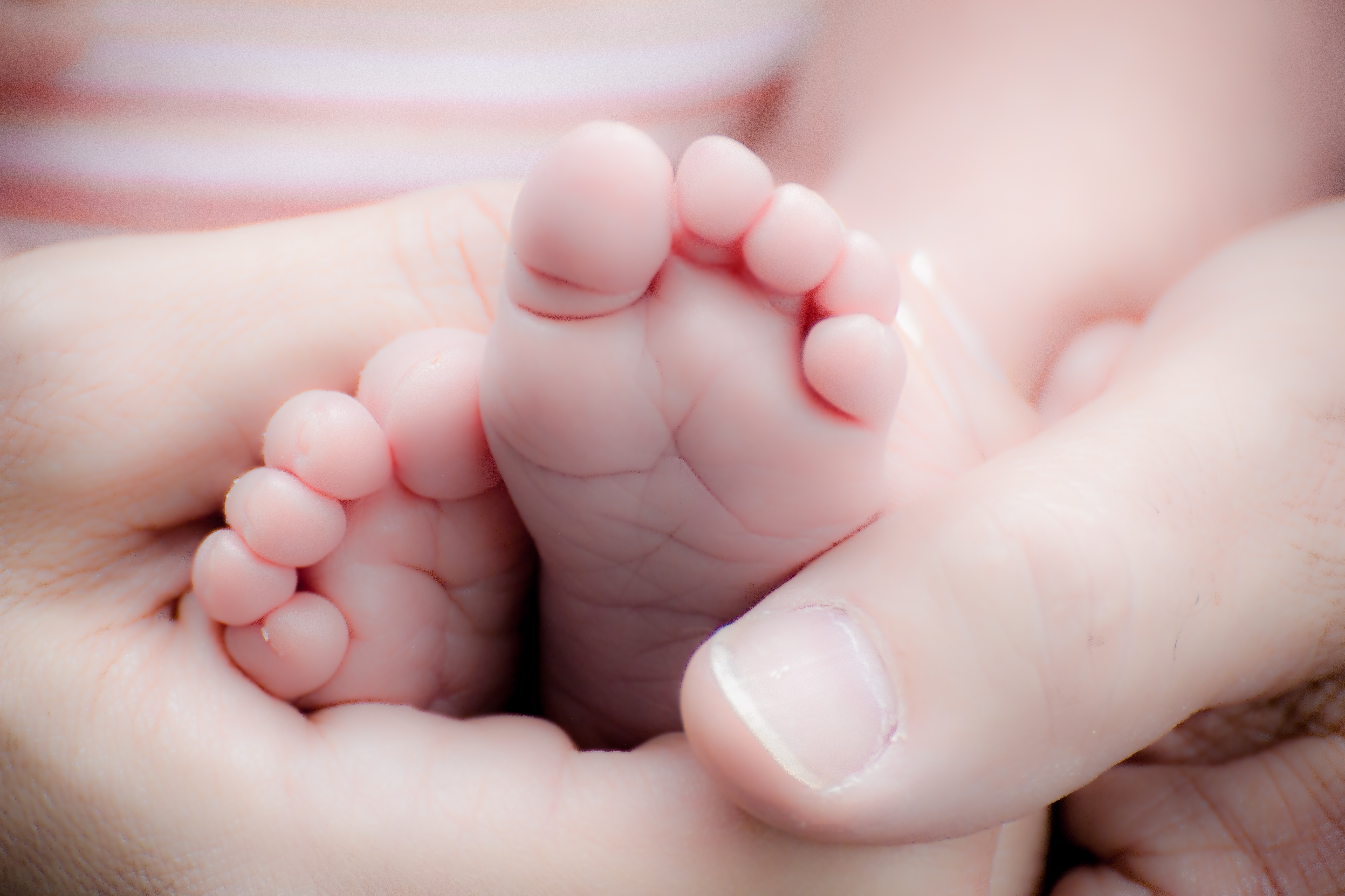 “A person’s a person, no matter how small.”